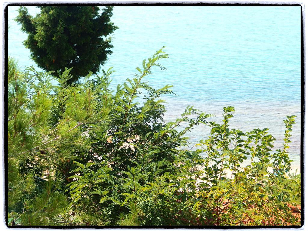 Studios Thanasis Limenaria  Exterior foto